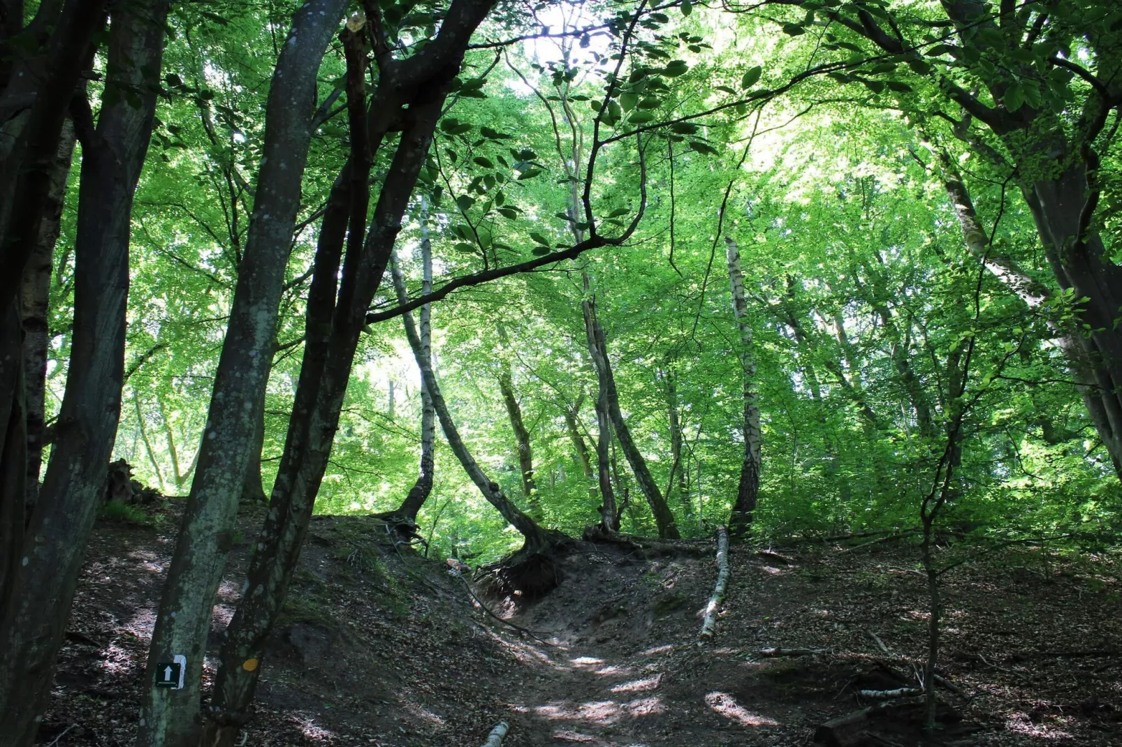 Maison de vacances pour 6 a Ebeltoft-Non tagué