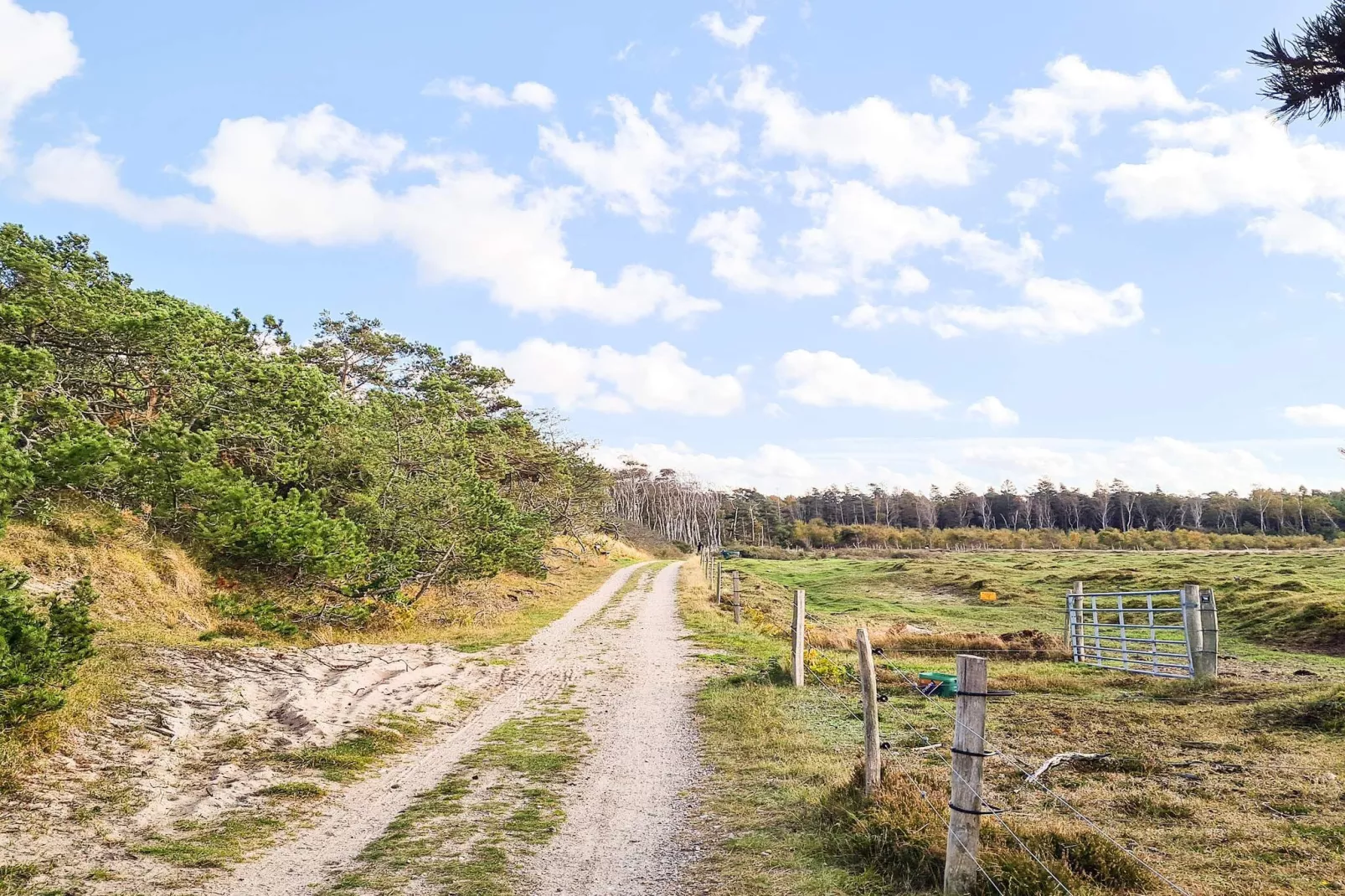 4 Personen Ferienhaus in Frederiksværk