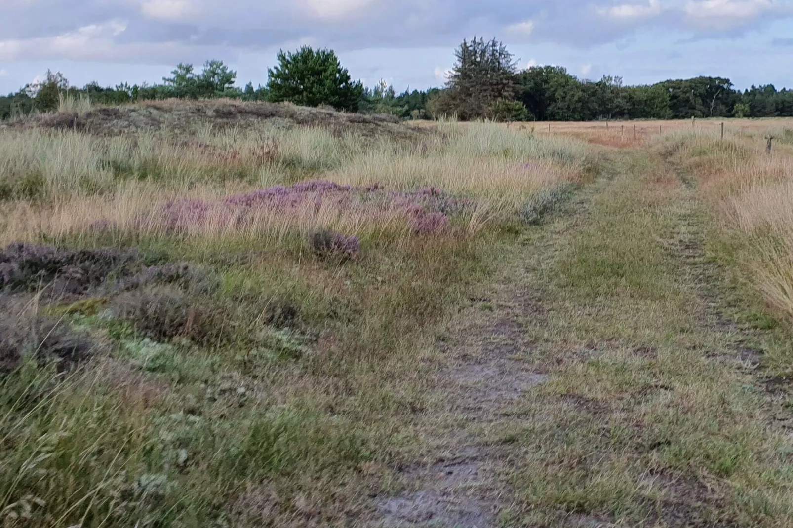 4 person holiday home in Oksbøl-Untagged