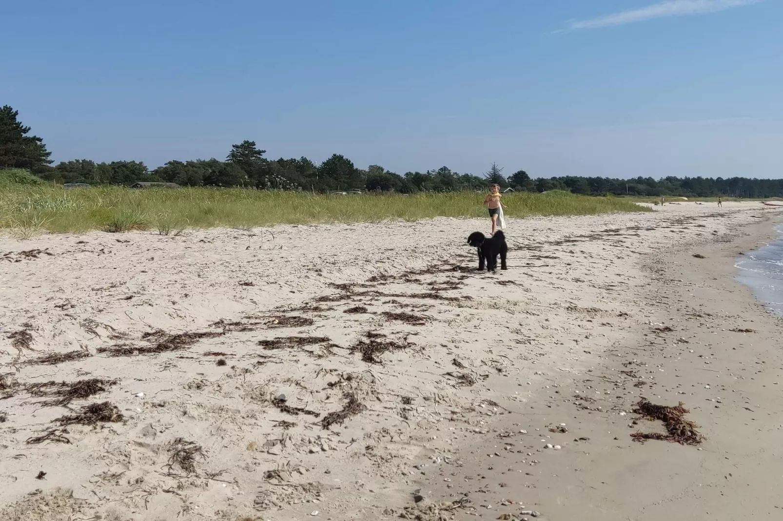 Maison de vacances pour 6 a Knebel-By Traum - Vue sur l'eau