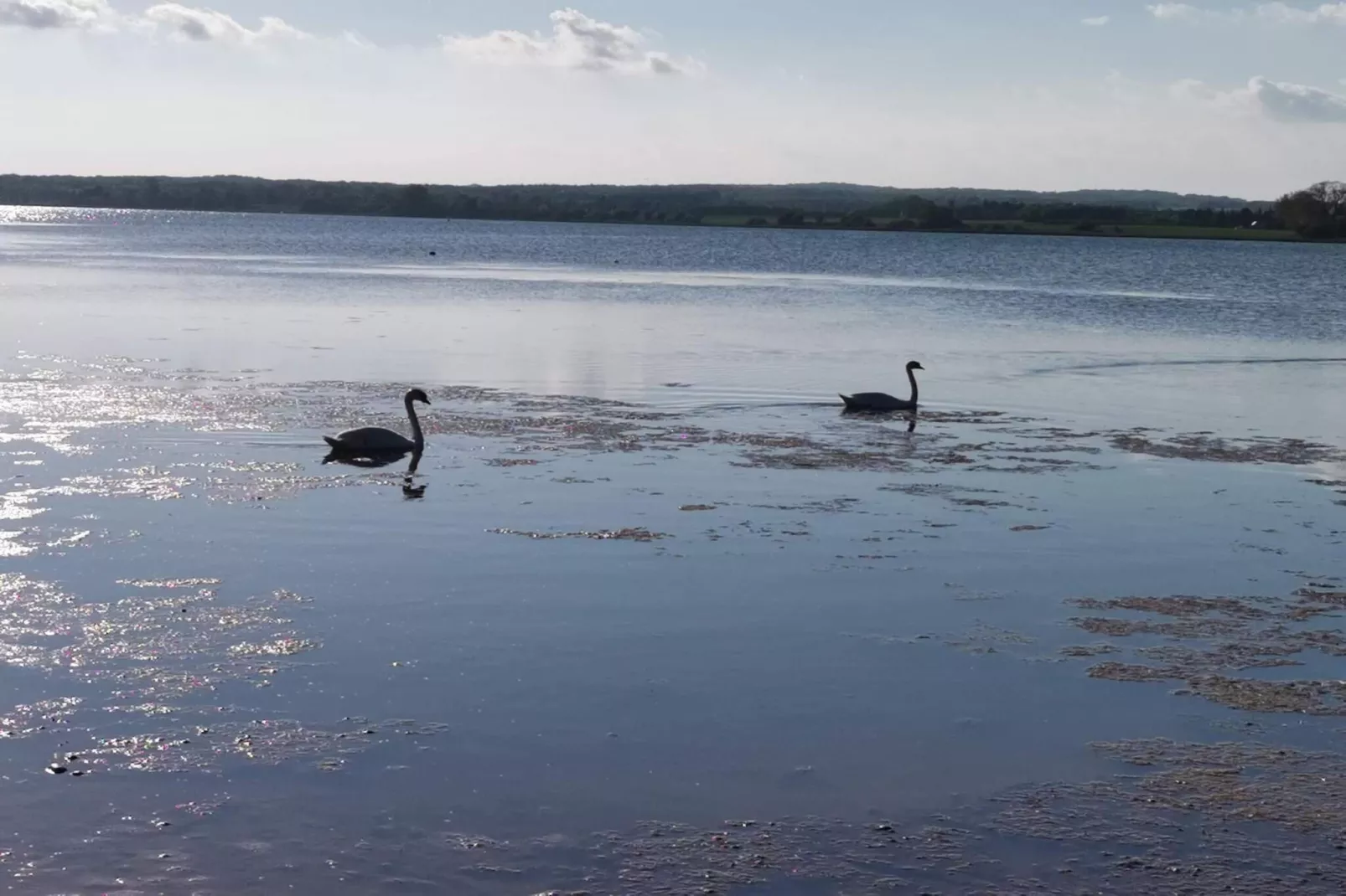 Seaside Escape in Praesto - By Traum Ferienwohnungen-Water view