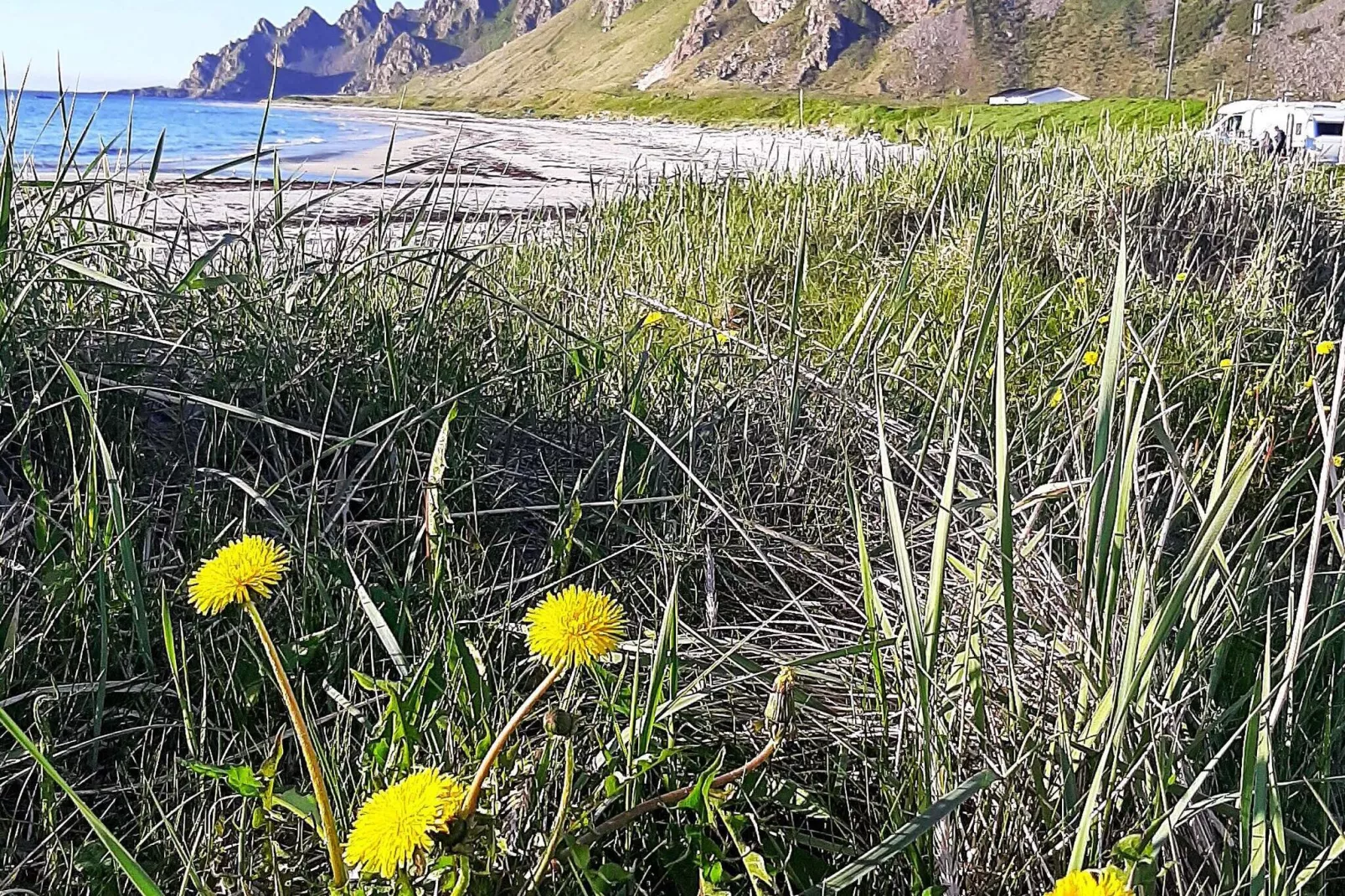 8 person holiday home in SORTLAND-By Traum-Not tagged