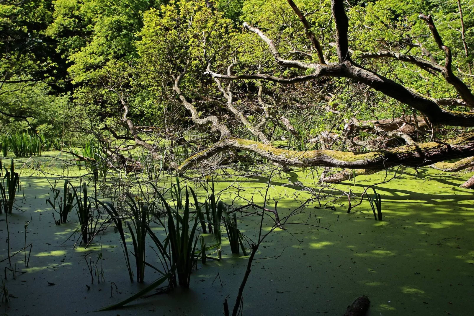 Villa de luxe avec piscine a Lohals -- By Traum Ferienwohnungen-Vue sur l'eau