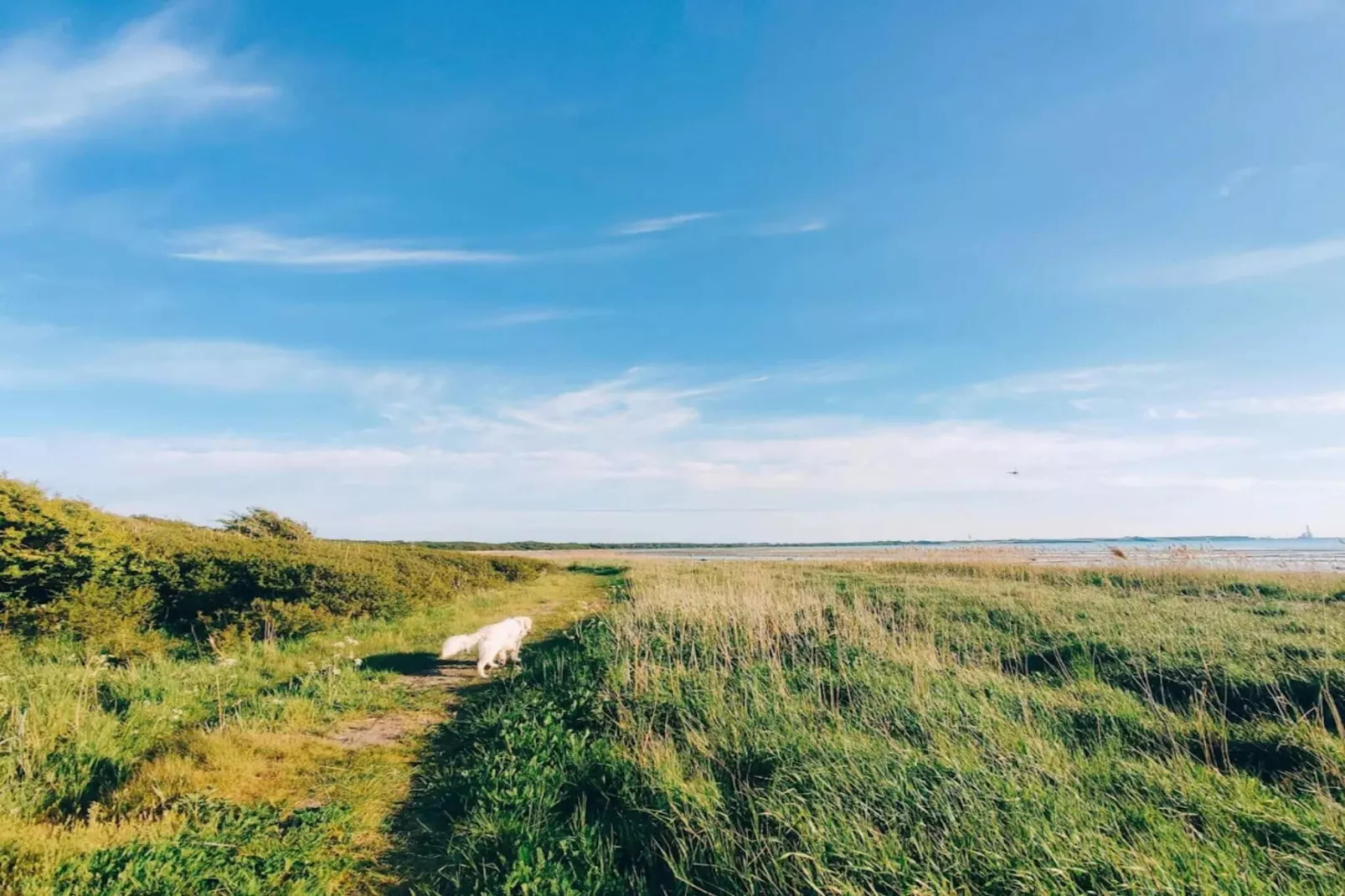 Luxurioser Ruckzug mit Pool -- By Traum Ferienwohnungen-Wasserblick