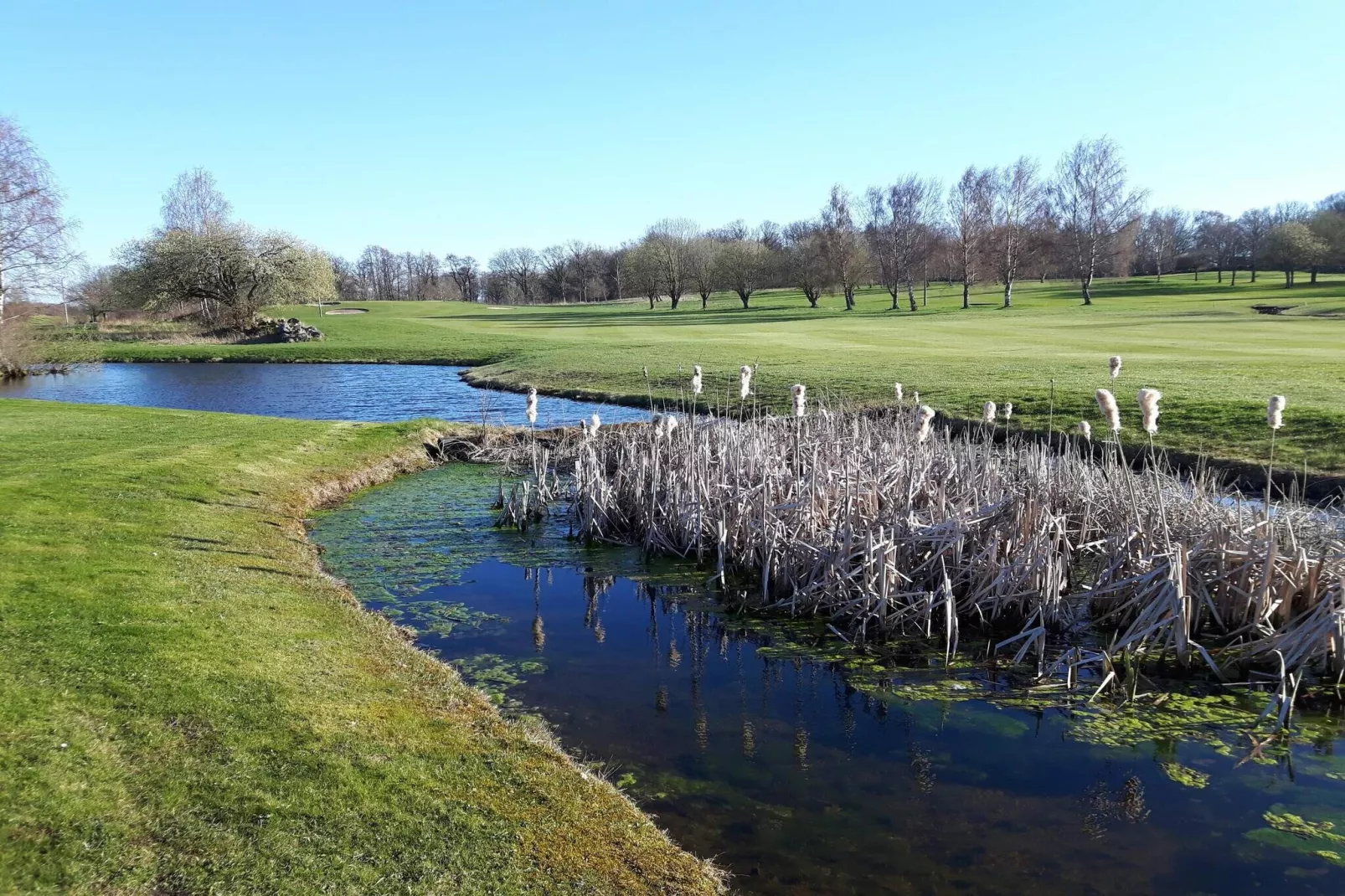 4 person holiday home in EVERÖD-By Traum-Water view