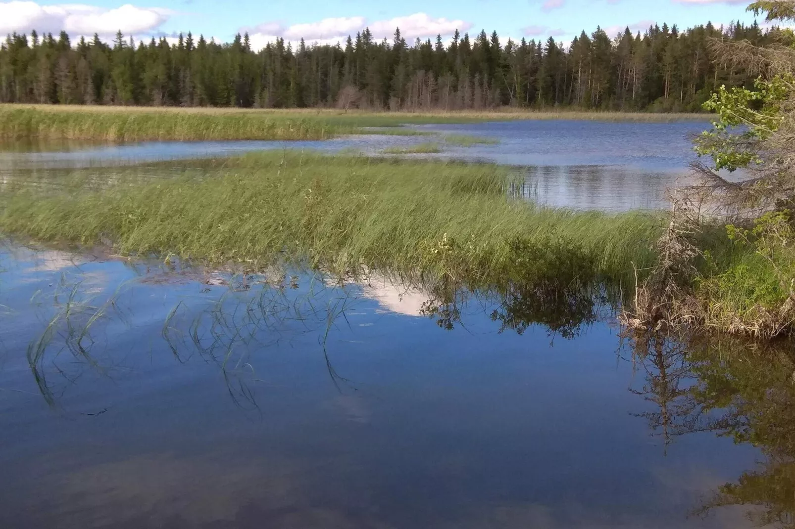 Rotes Bauernhaus in der Nähe von Forsheda-Wasserblick