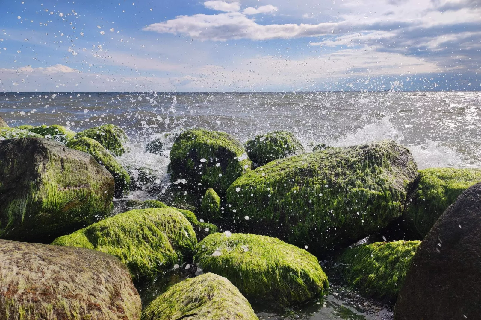 Tranquil Haven near Beach - By Traum Ferienwohnungen-Water view