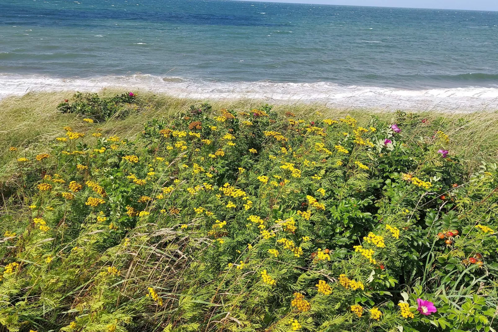 Luxury Pool Villa in Dronningmolle - By Traum Ferienwohnungen-Water view