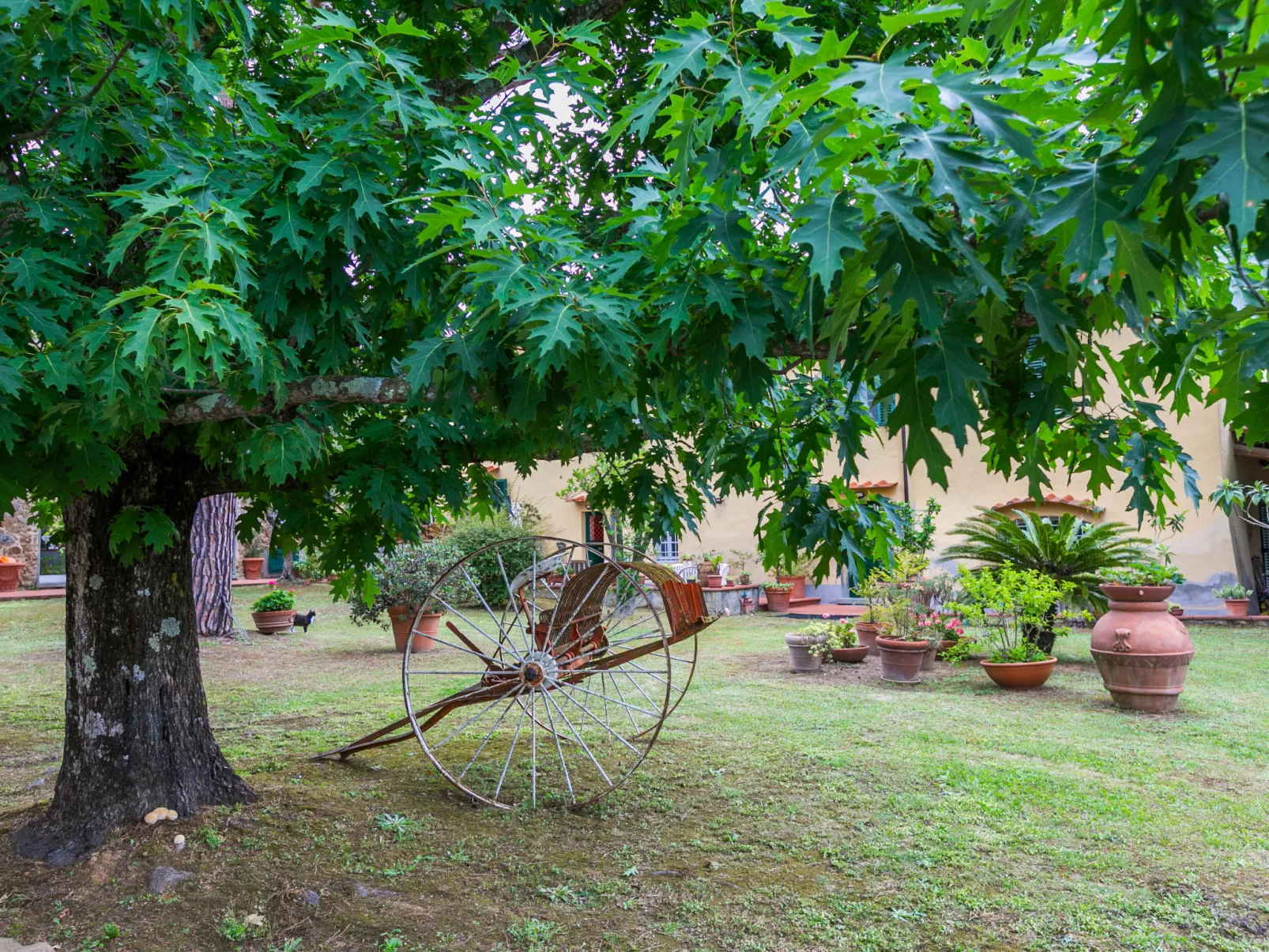 San Lazzaro-Outside