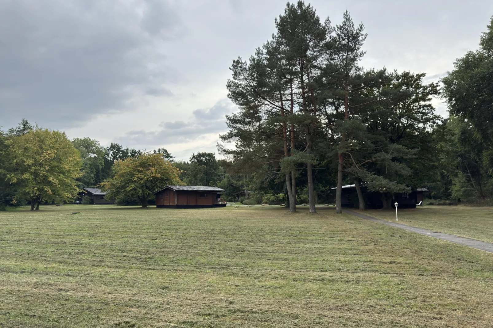 Lüneburger Heide-View in summer