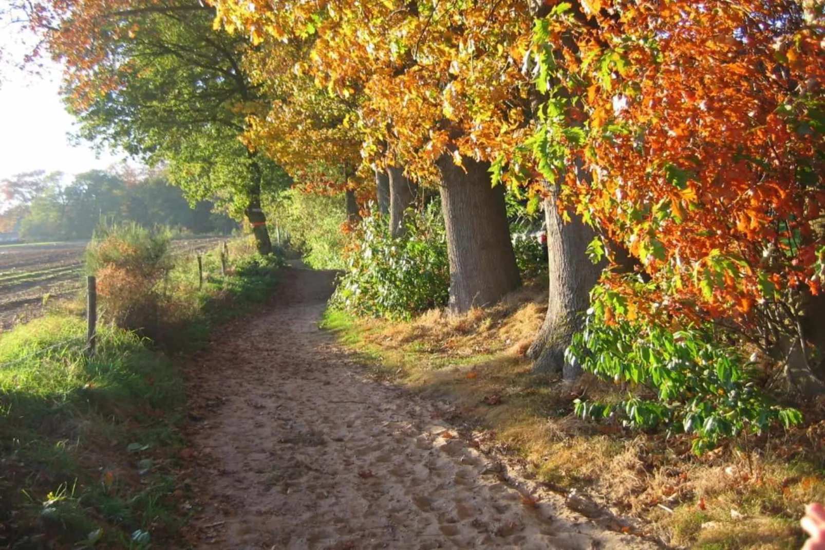 Vakantiepark De Lochemse Berg 2-Areas within 20km in summer