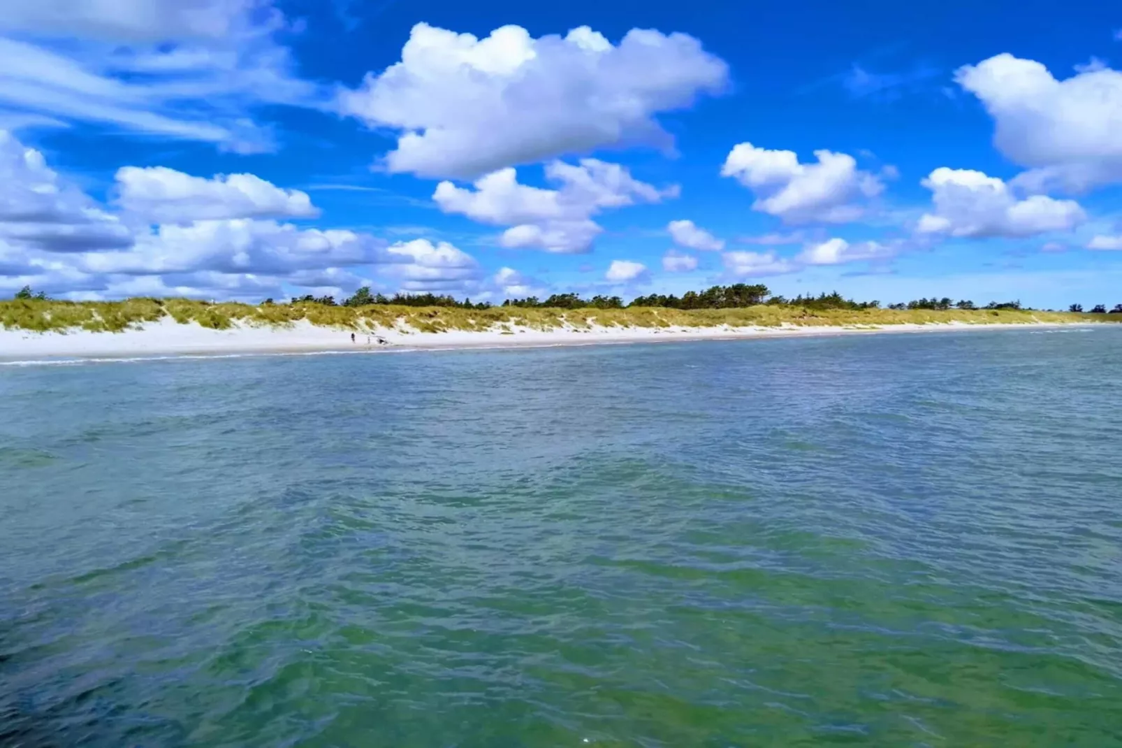 8 person holiday home in Jerup-By Traum-Water view