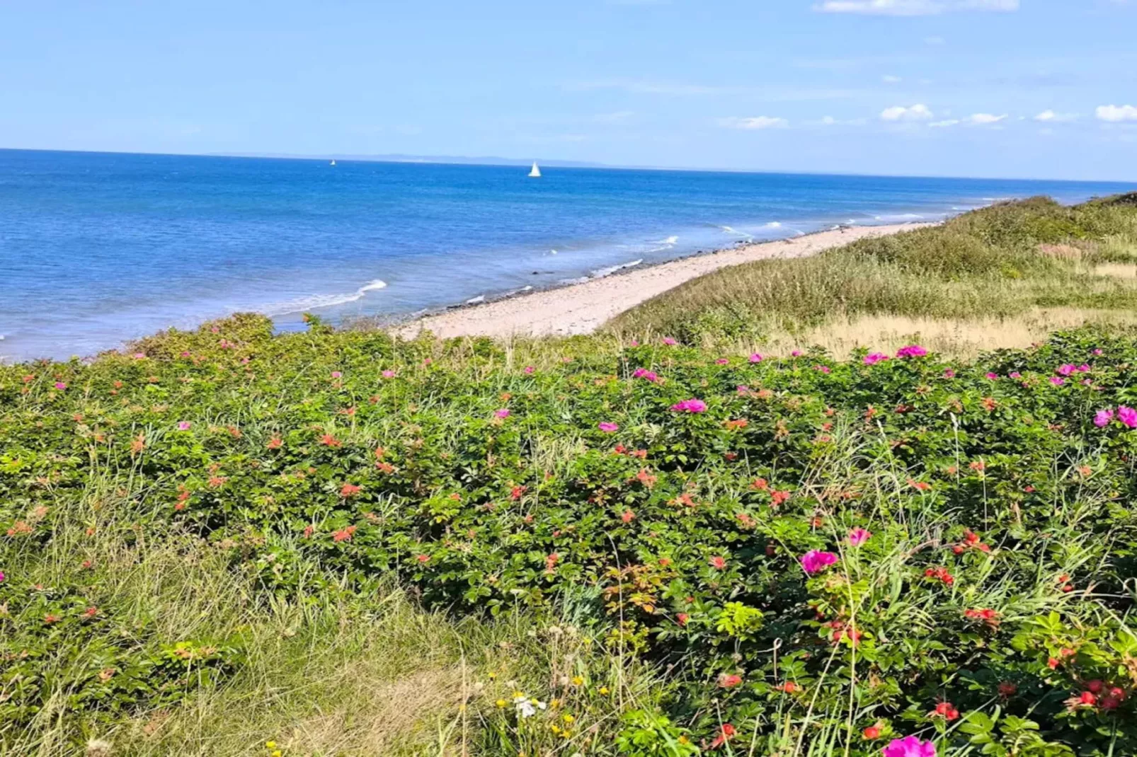 8 Personen Ferienhaus in Gilleleje-By Traum-Wasserblick
