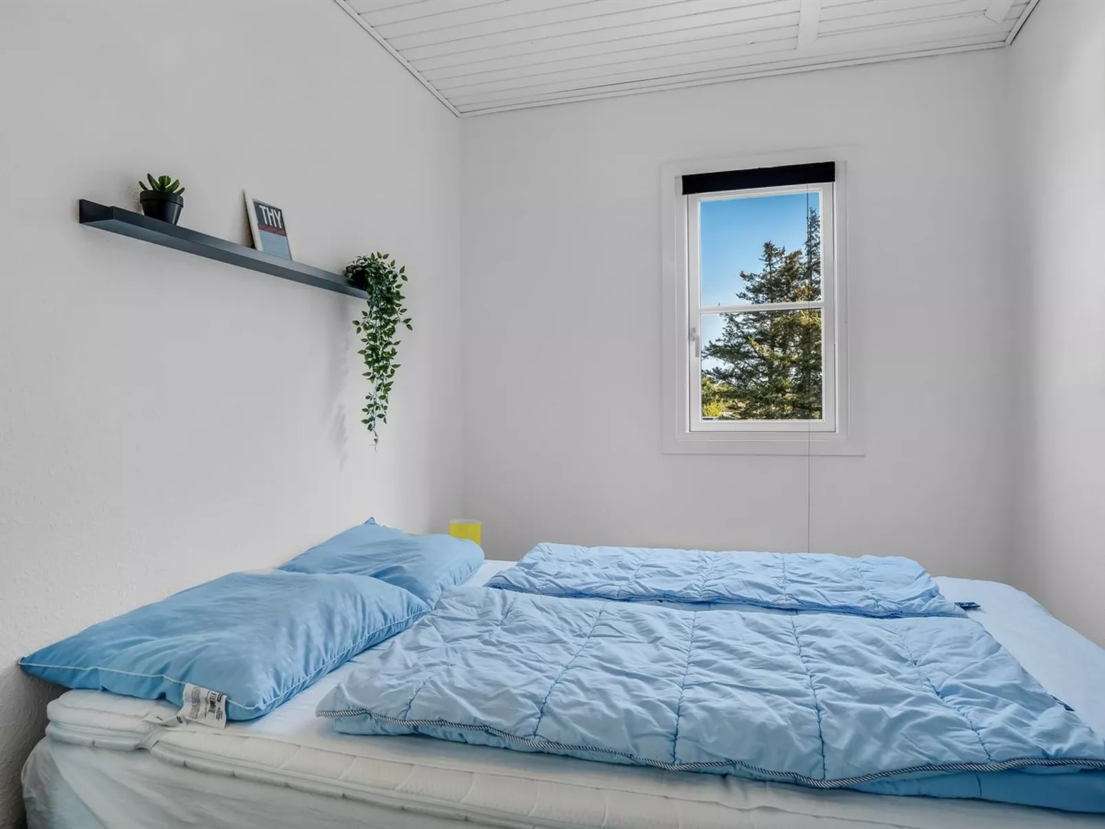 "Eleen" - 100m to the fjord-Drinnen