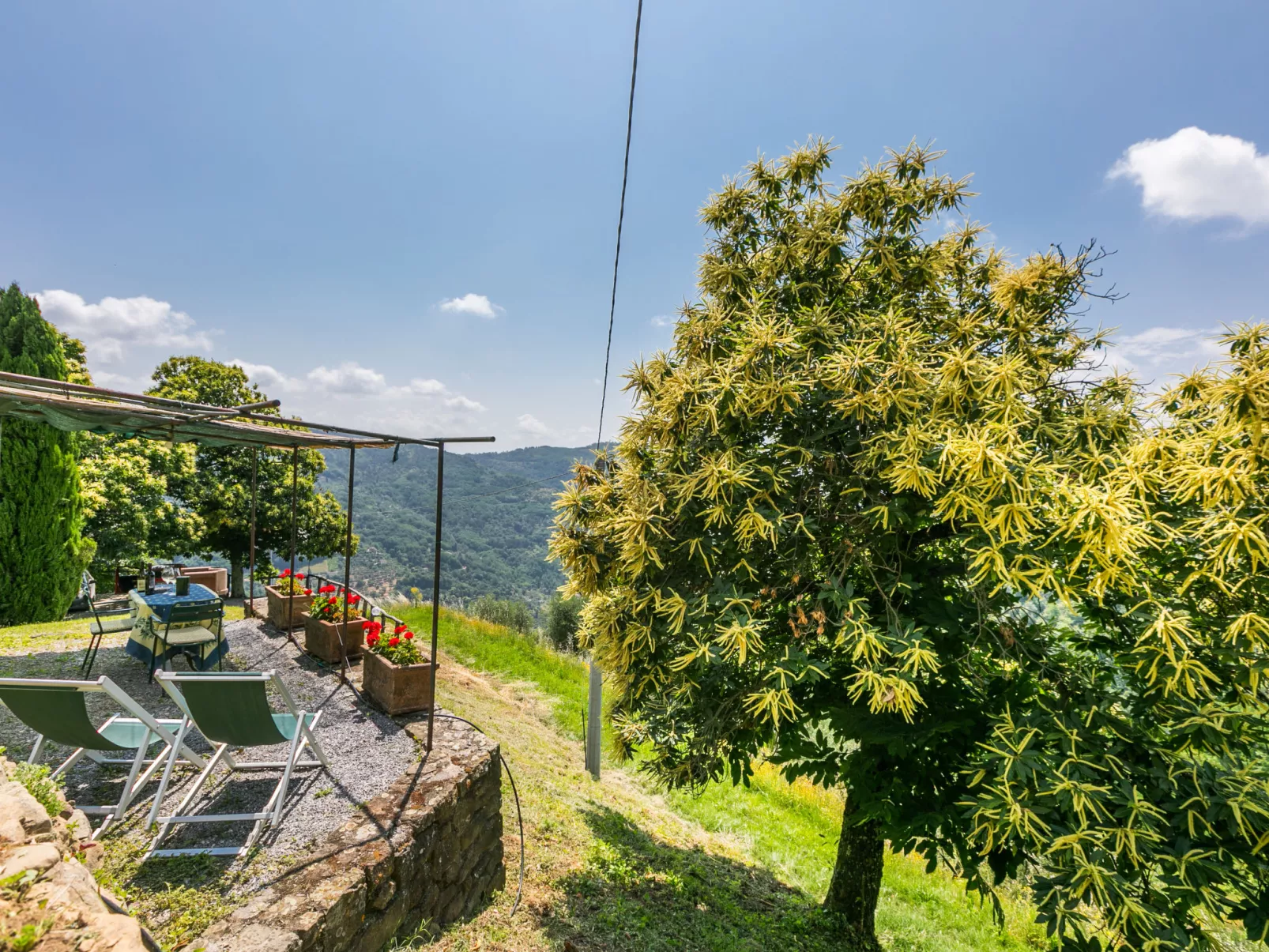 Podere Cima a Zano / Apt.Fienile PCA107-Draußen