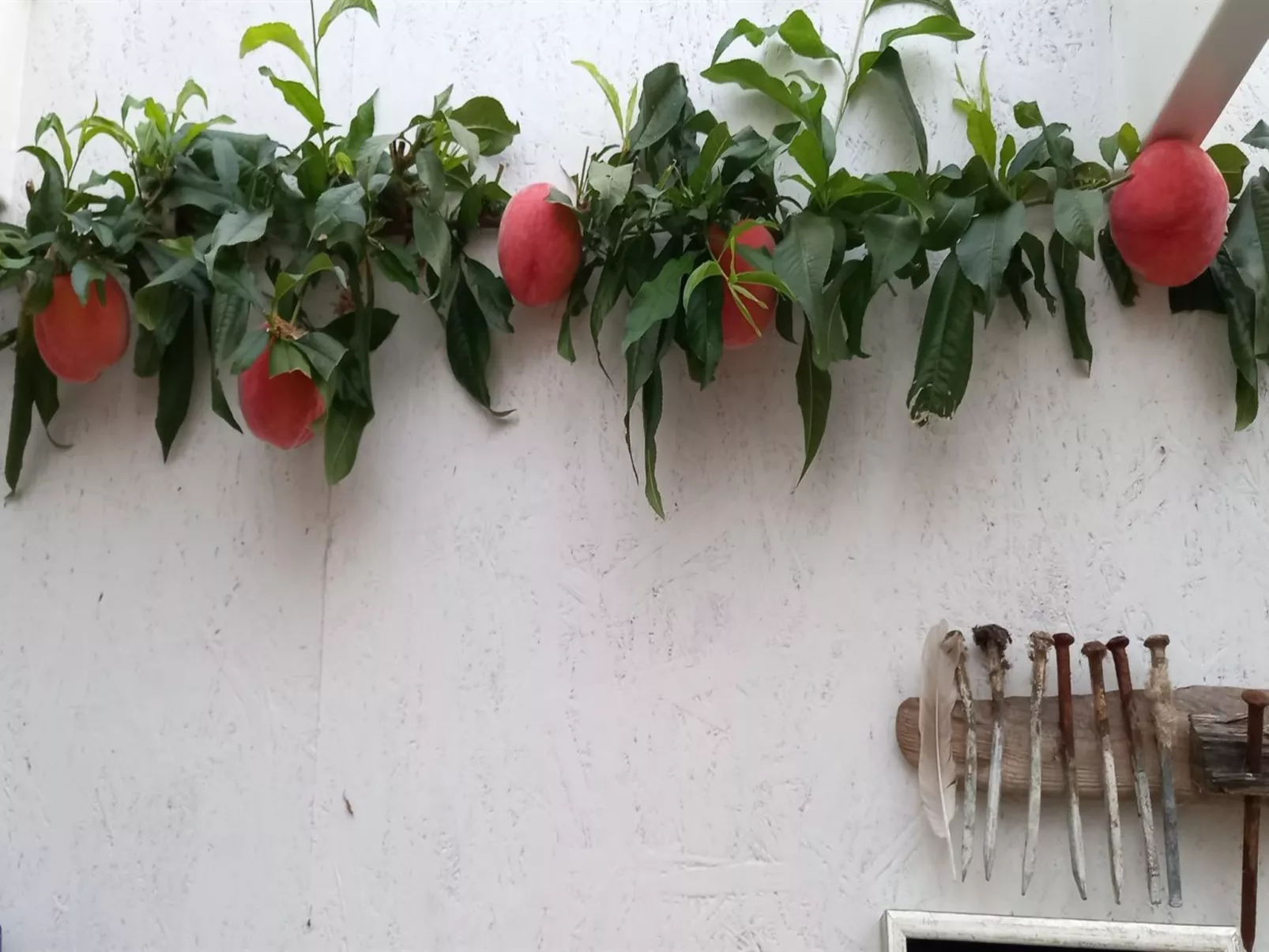 "Hartvig" - 800m from the sea-Drinnen