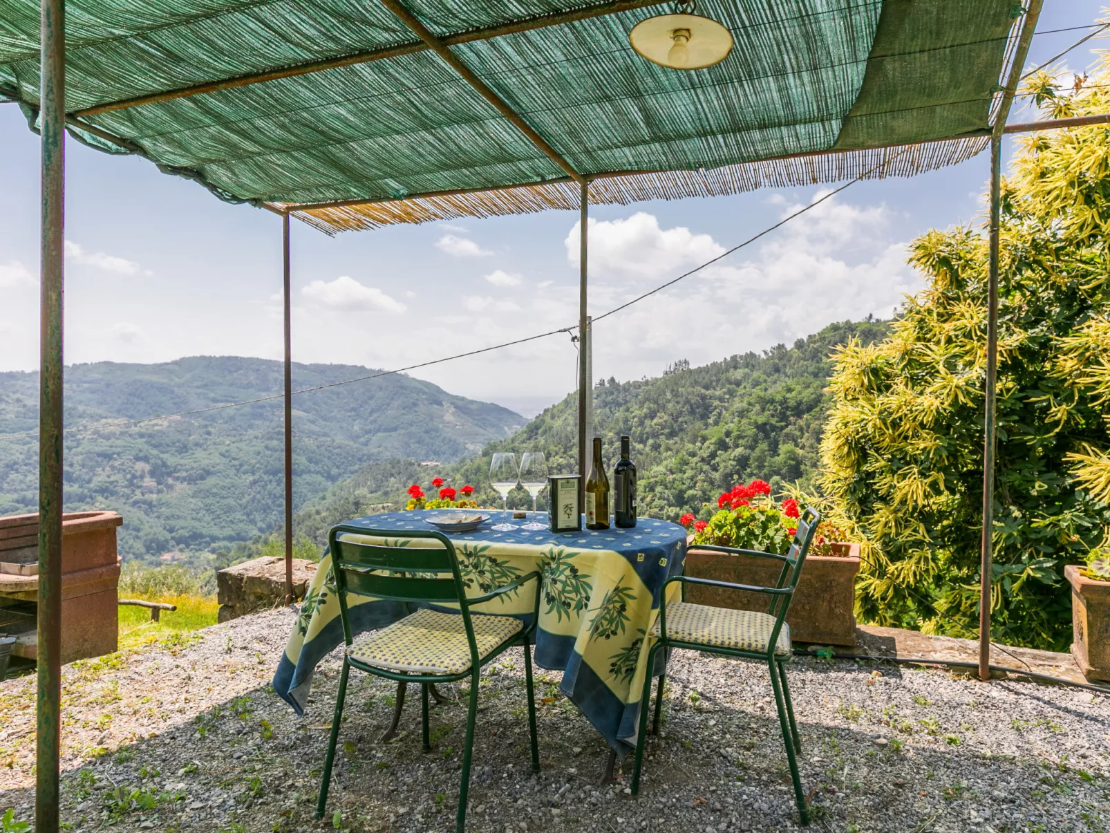 Podere Cima a Zano / Apt.Fienile PCA107-Draußen