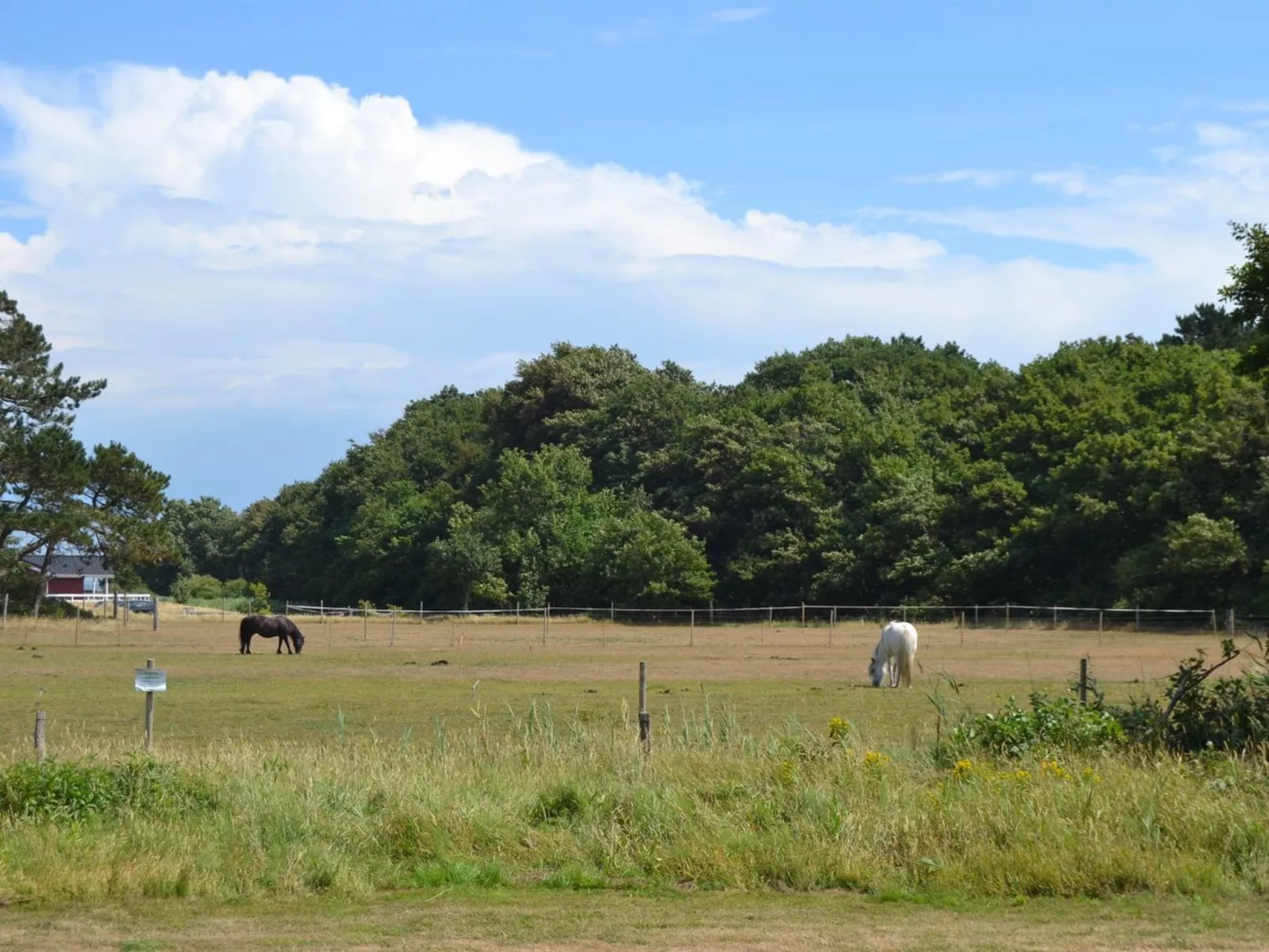 "Vivan" - 3.8km from the sea-Outside