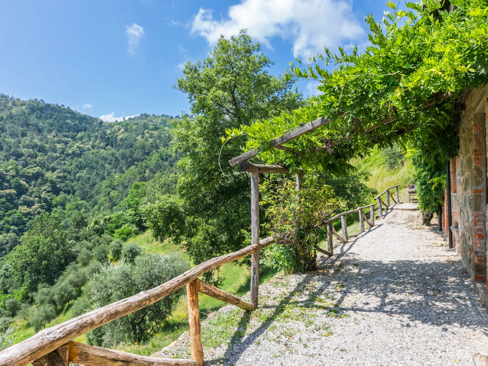 Podere Cima a Zano / Apt.Fienile PCA107-Draußen