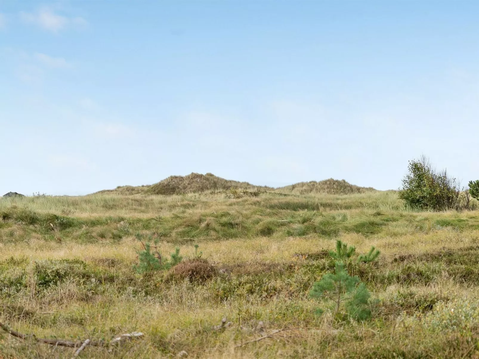 "Tishon" - 100m from the sea-Dehors