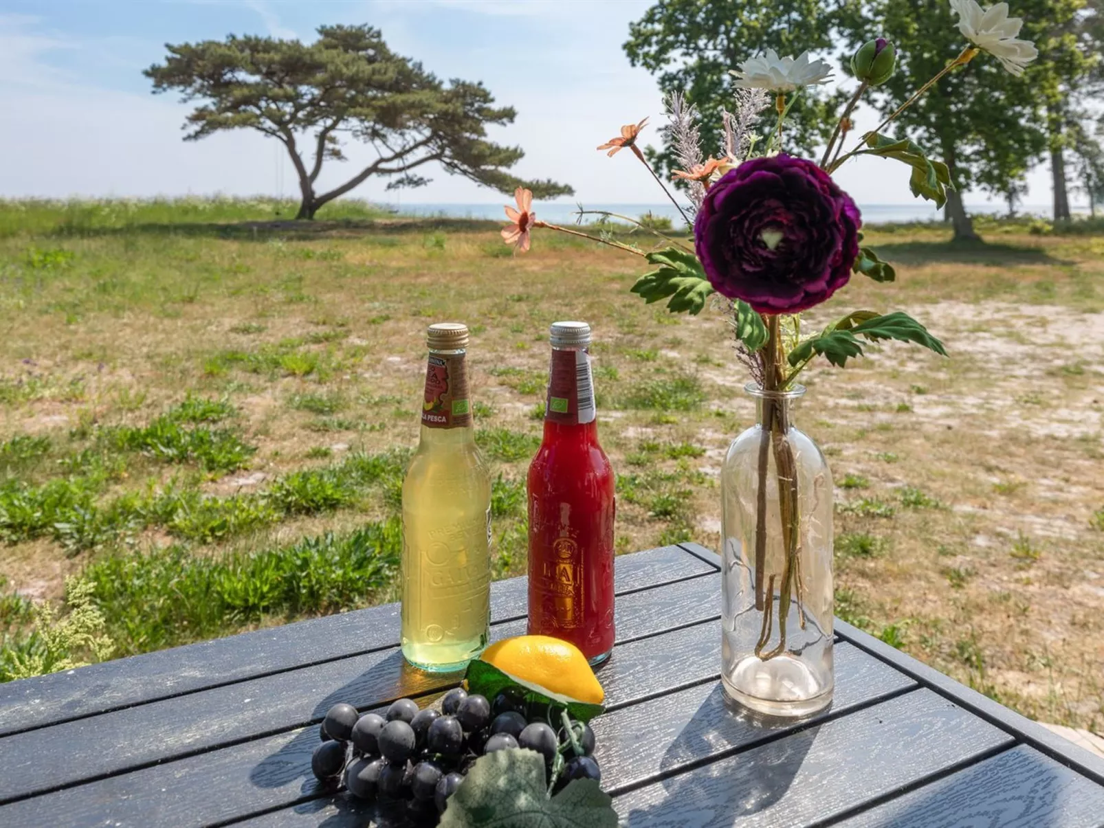 "Botolphus" - 20m from the sea-Dehors