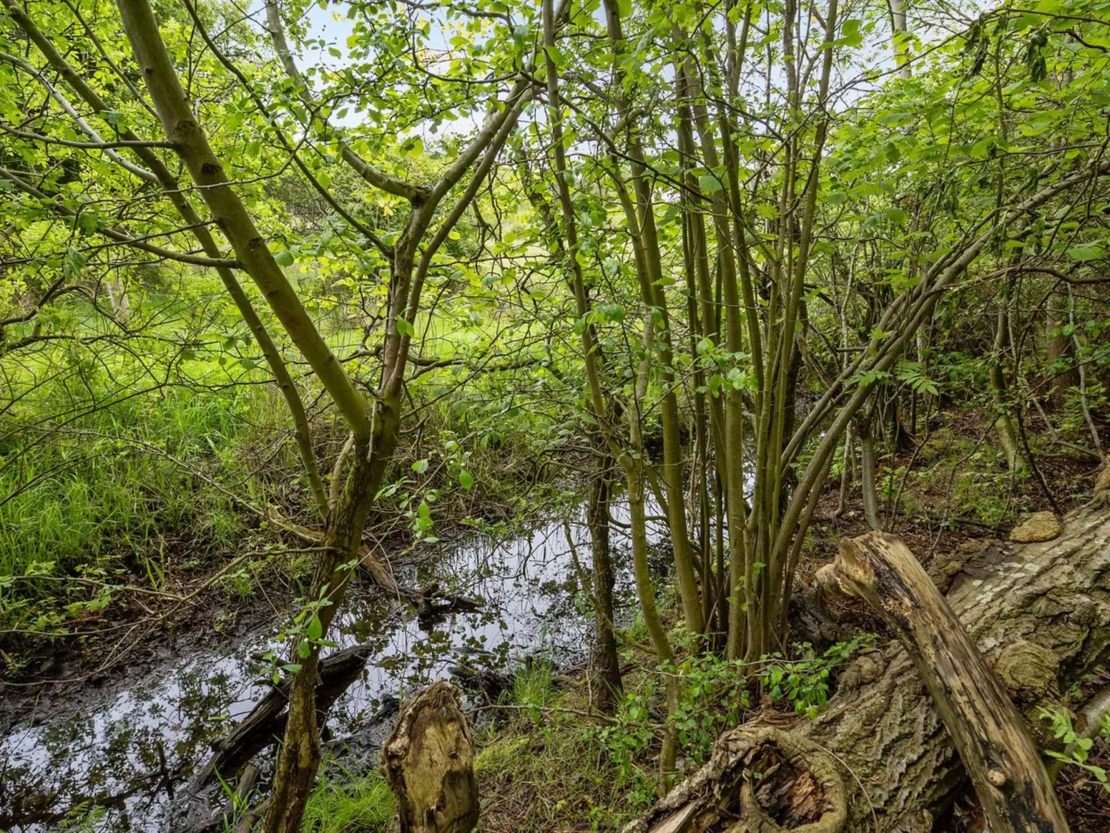 "Thrugels" - 200m from the sea-Outside