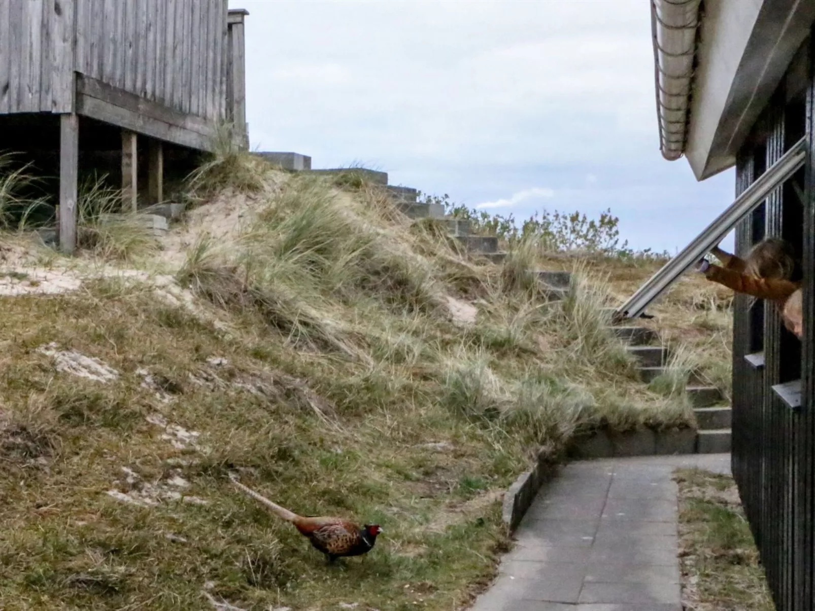 "Hansina" - 500m from the sea-Dehors