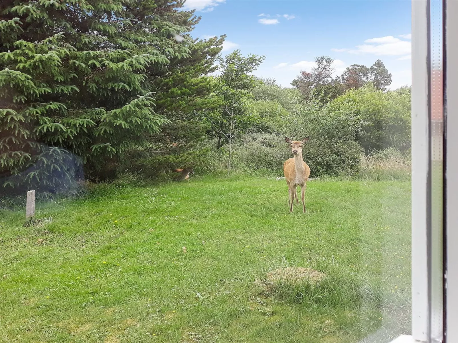 "Solborg" - 400m from the sea-Dehors