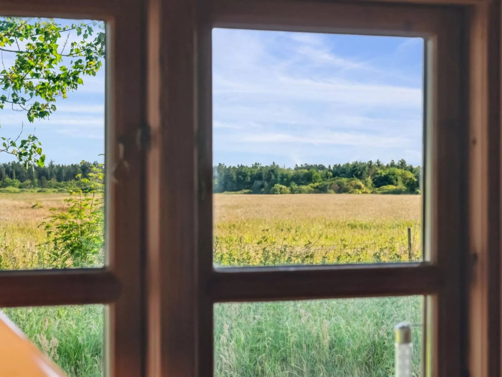 "Elsia" - 1.5km to the fjord-Outside