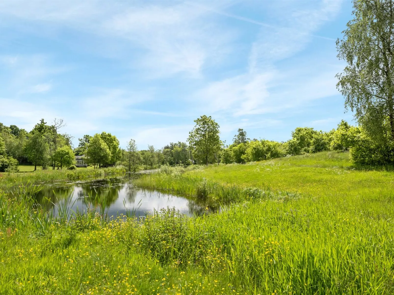 "Tydulf" - 34km from the sea-Outside