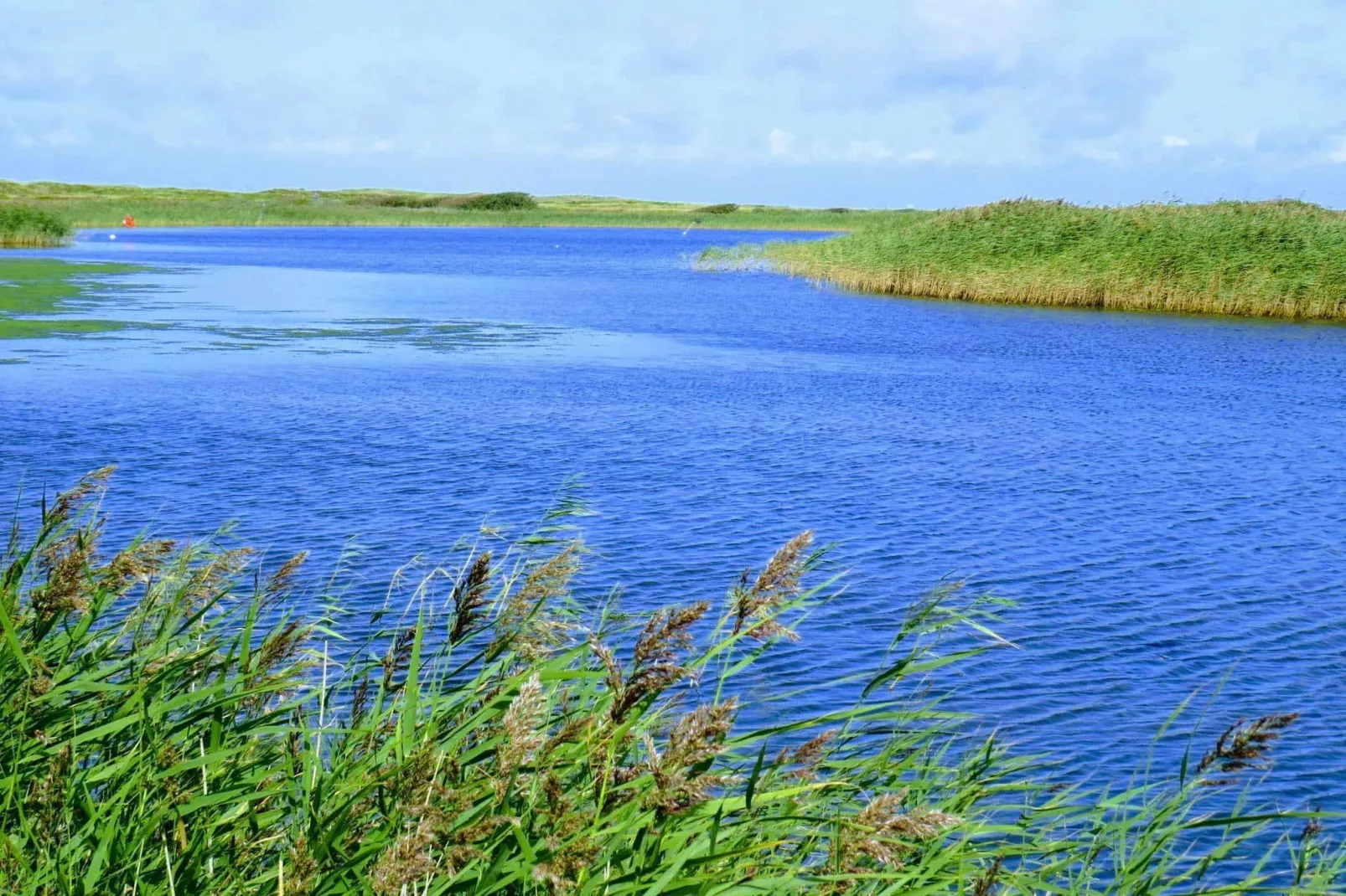 Maison de vacances pour 4 a Hemmet-By Traum-Vue sur l'eau