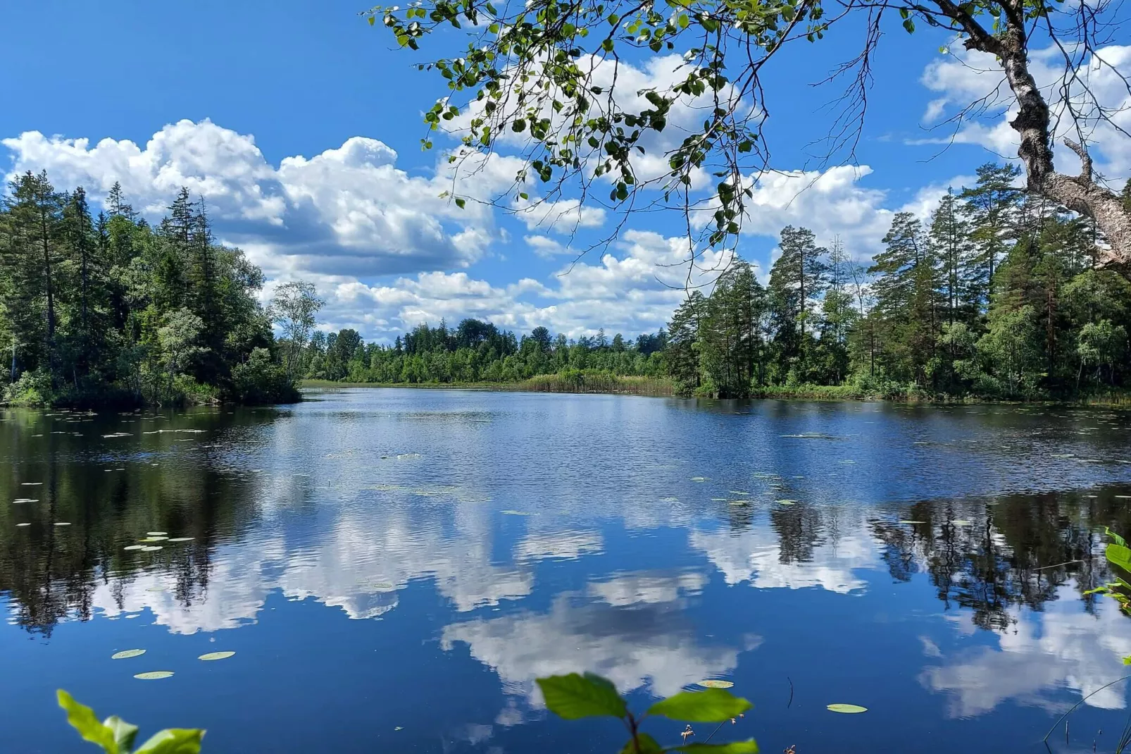 Gîte avec jacuzzi à Rejmyre-Vue sur l'eau