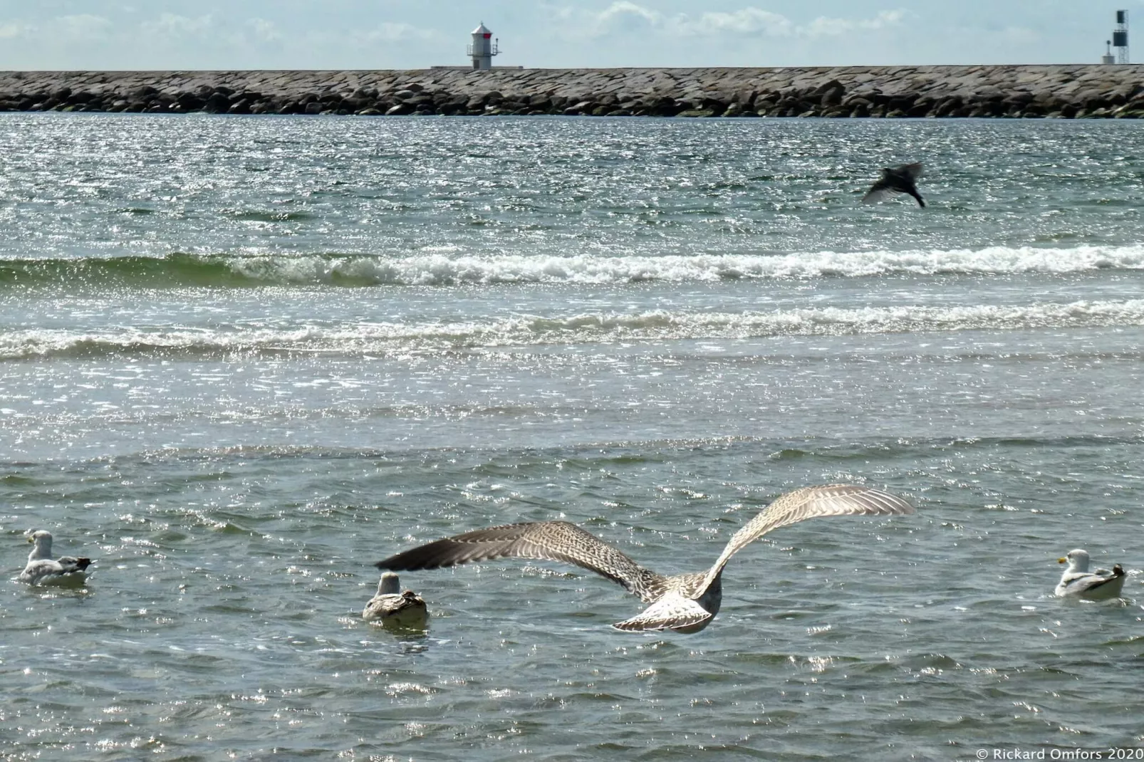 Maison de vacances pour 3 a HUNVIGAN-By Traum-Vue sur l'eau