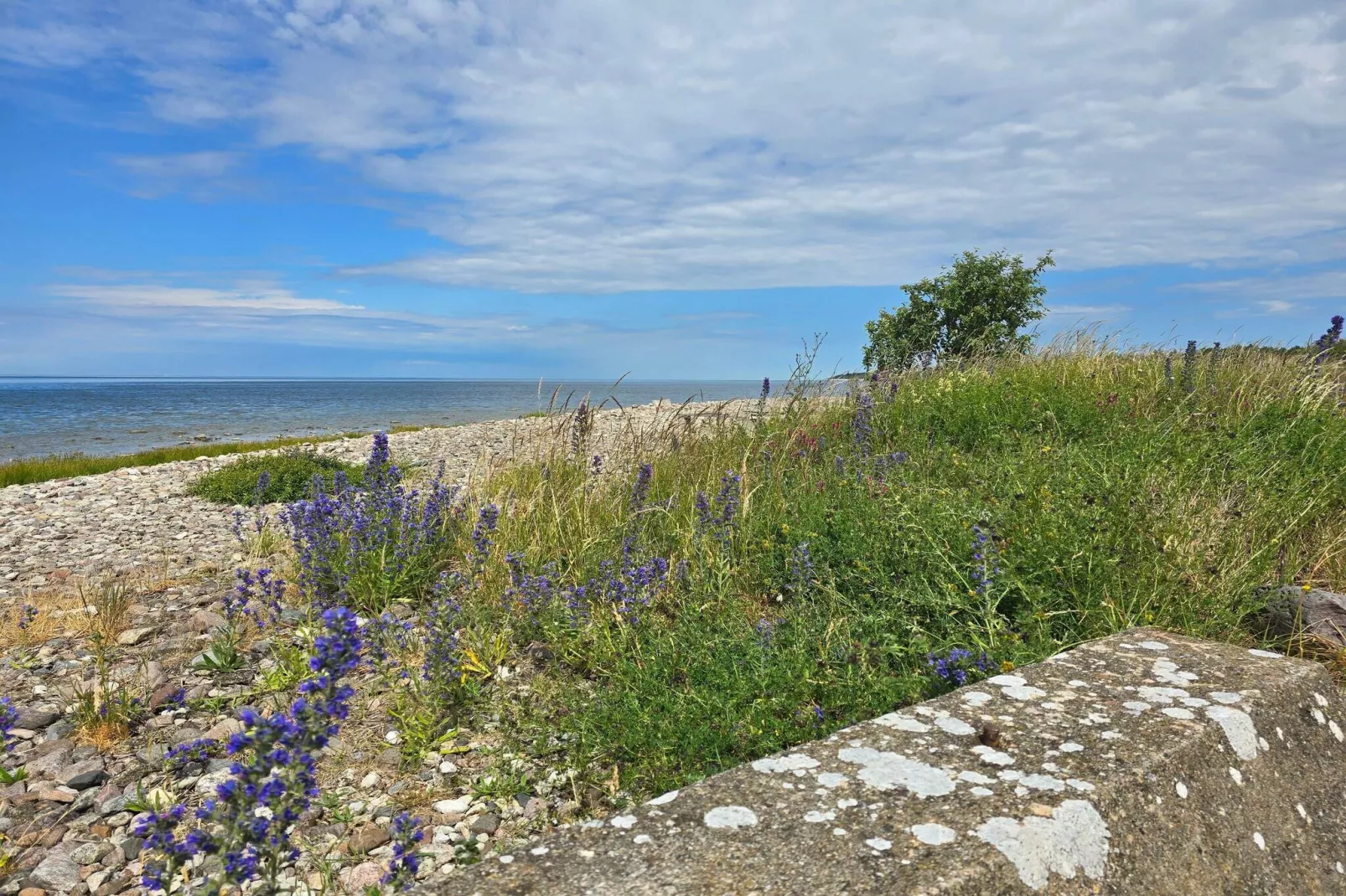 4 etoiles maison de vacances a GOTLANDS TOFTA-Vue sur l'eau