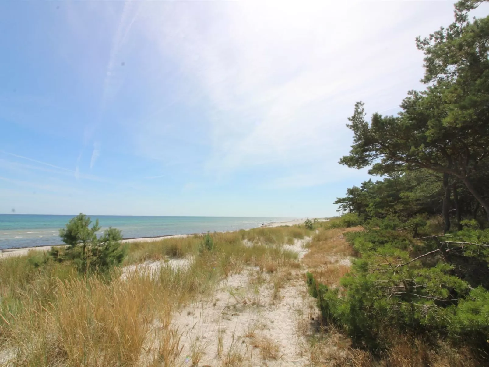 "Eftim" - 600m from the sea-Dehors