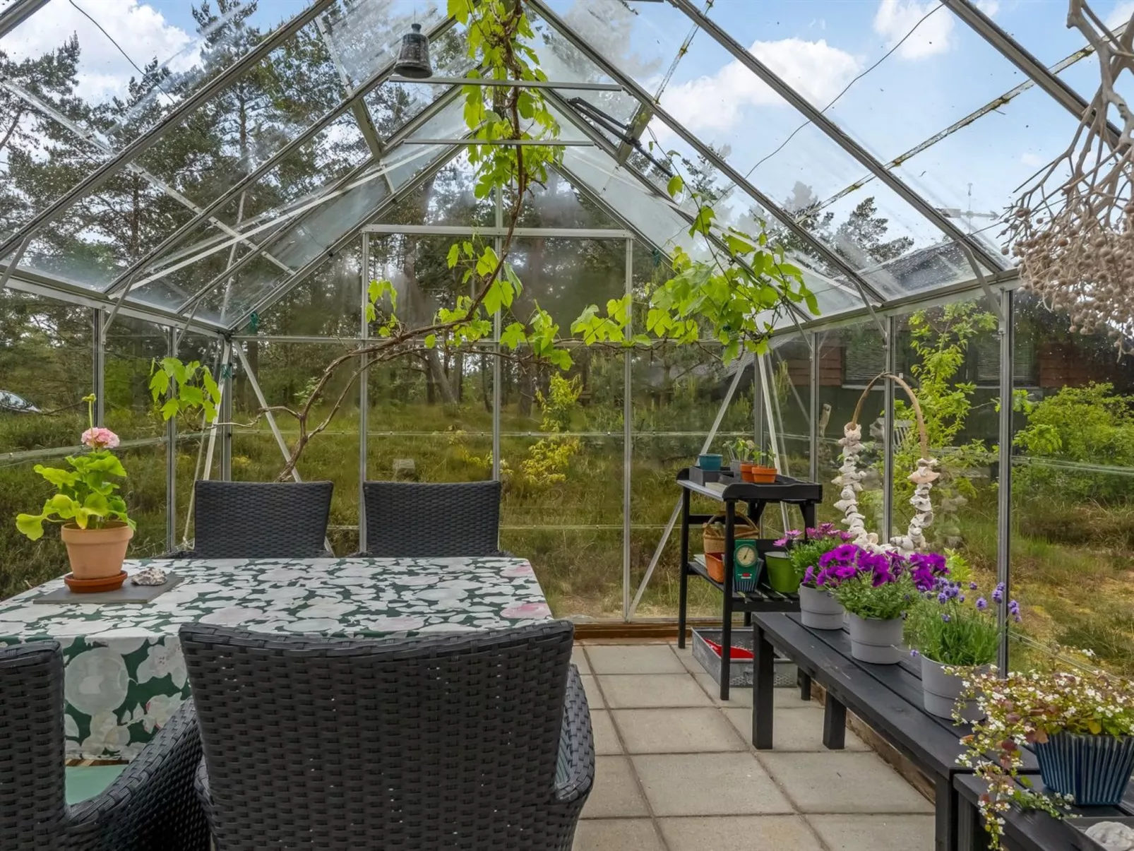 "Eliza" - 600m from the sea-Drinnen