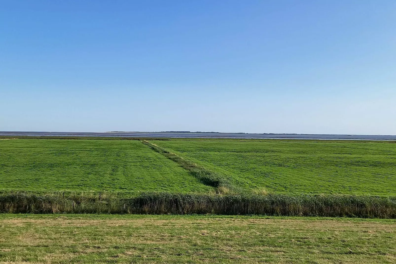 Ferienhaus Seeschwalbe-Areas within 5km in summer