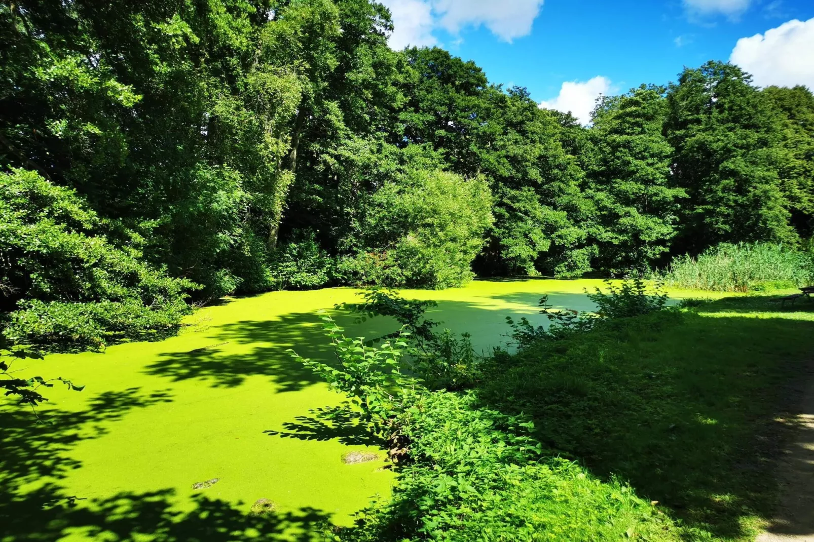 4 Personen Ferienhaus in Hadsund-By Traum-Wasserblick