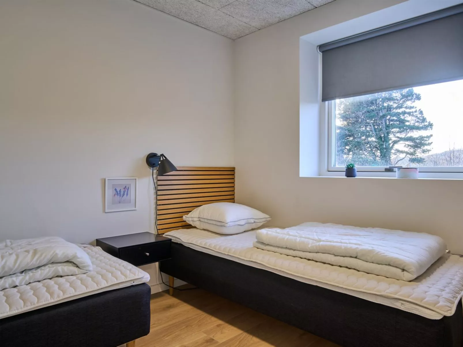 "Sasser" - 450m from the sea-Dedans