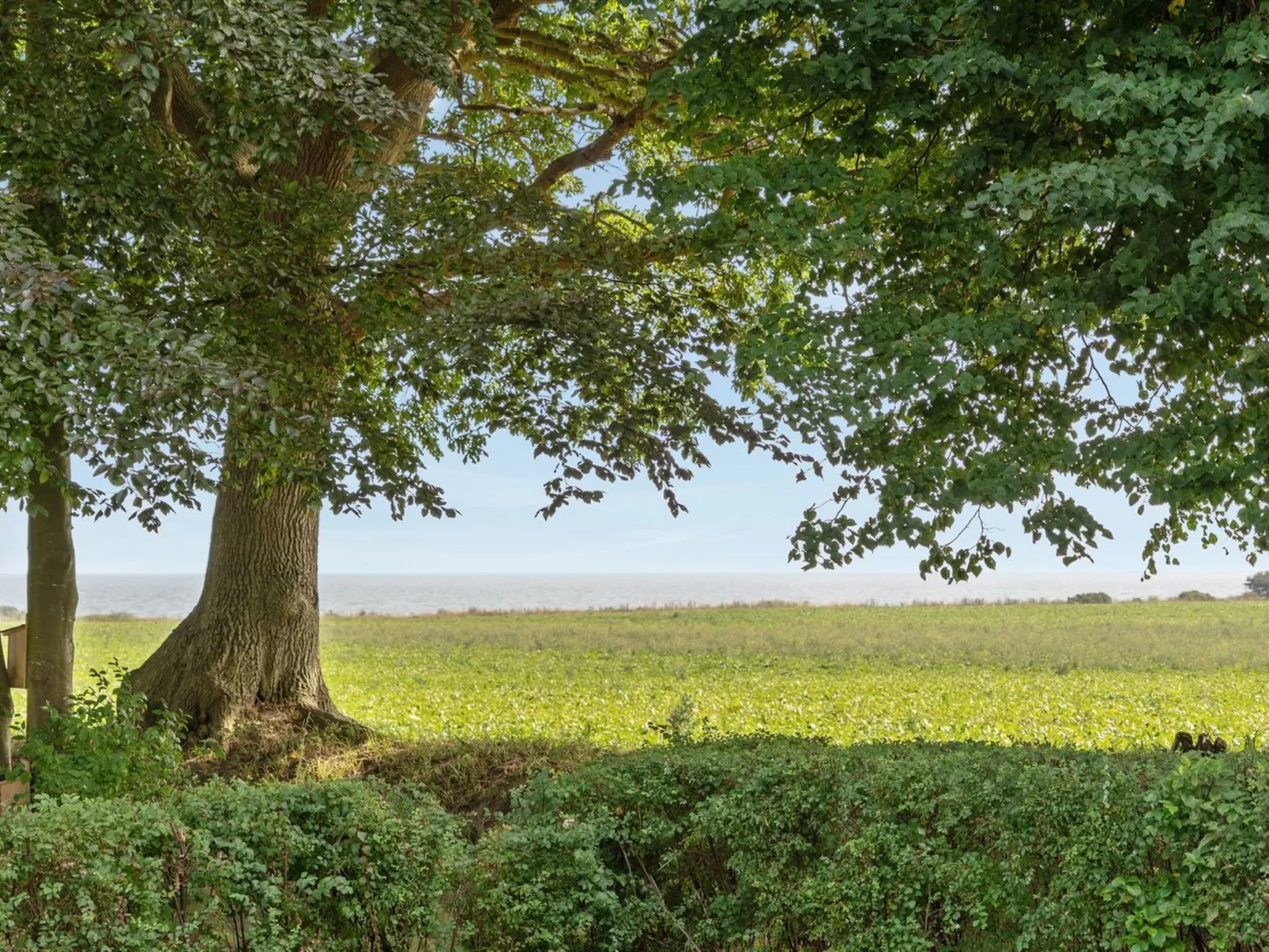 "Francis" - 300m from the sea-Outside