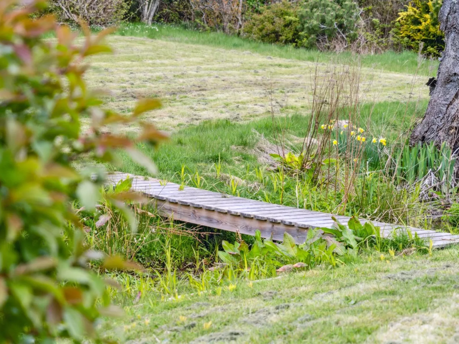 "Malena" - 175m from the sea-Dehors