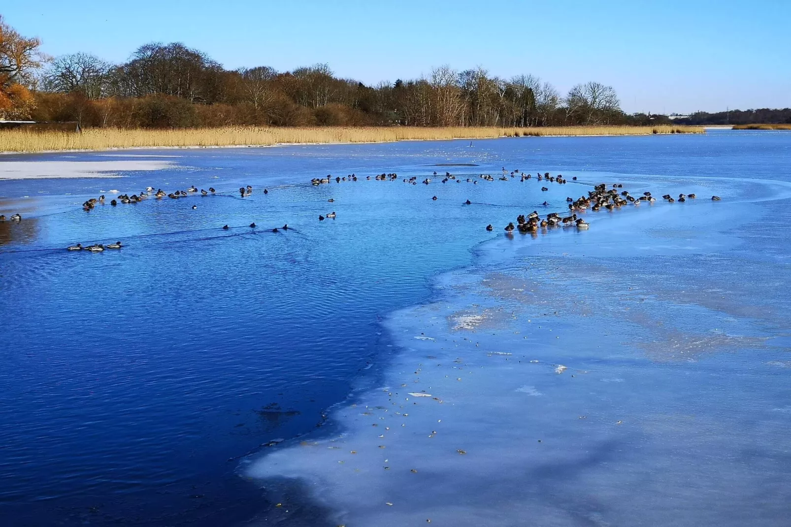 Charming Retreat on Eno - By Traum Ferienwohnungen-Water view