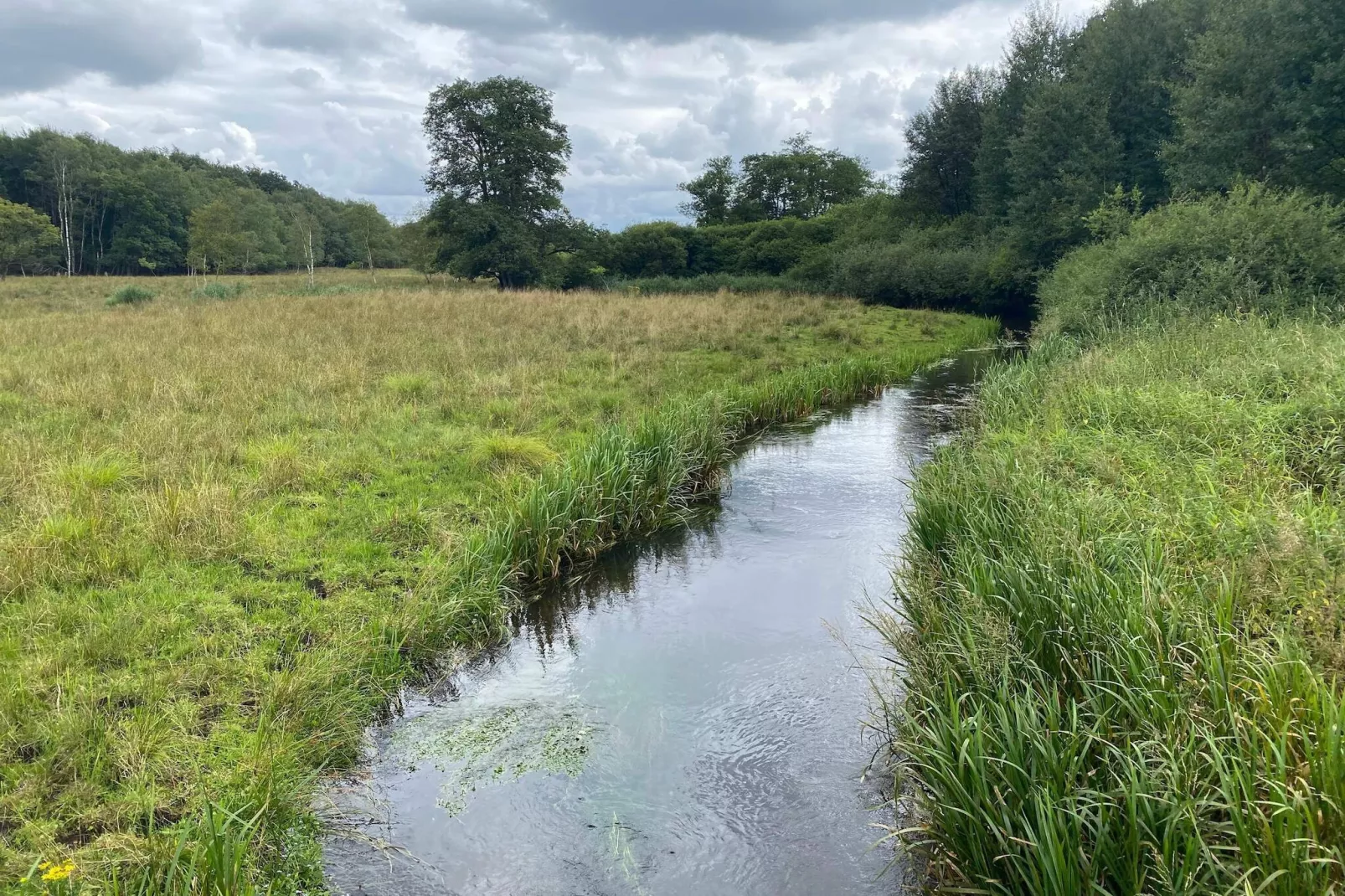 4 Sterne Ferienhaus in Hovborg-By Traum-Wasserblick