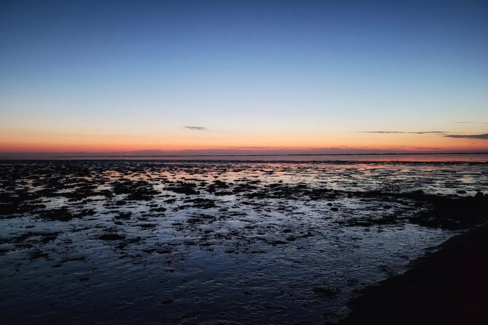 Doppelhaushälfte Nordseerose 125-Areas within 5km in summer