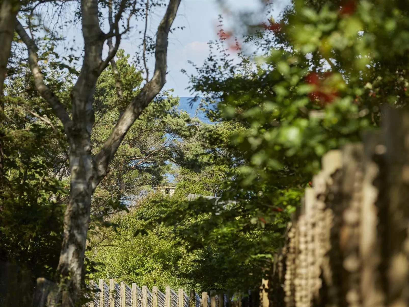 "Andy" - 150m from the sea-Dehors