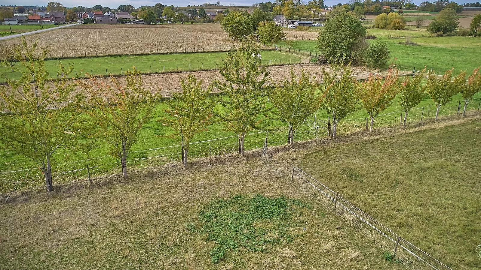 Quanto B-Garten Sommer