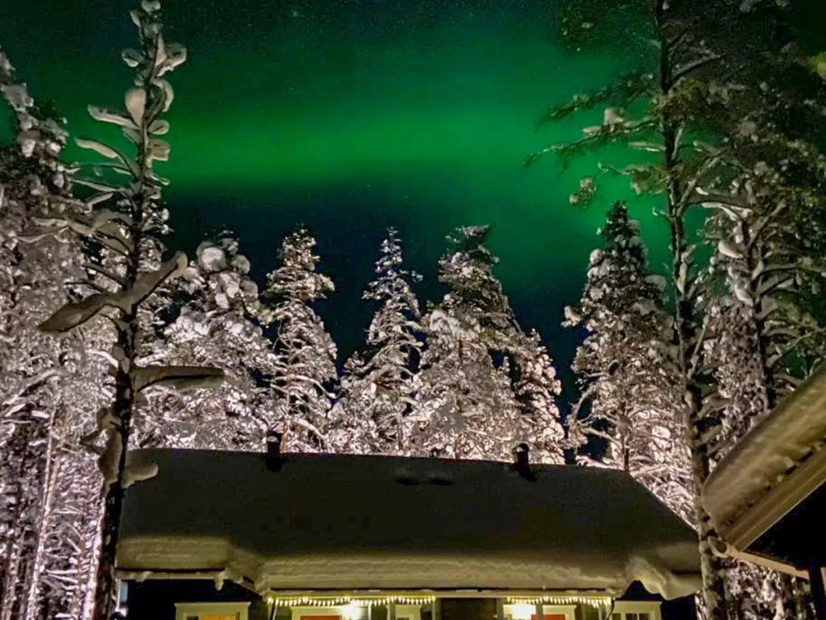 Kevätpiippo b-Inside