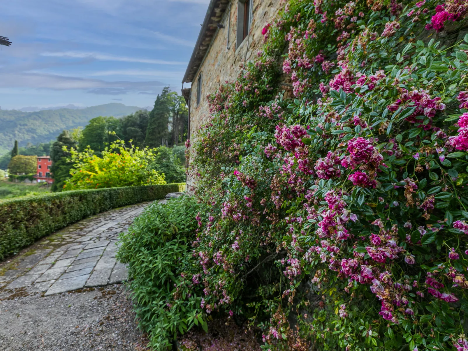 Podere Villa/Apt. Mezzo-Outside