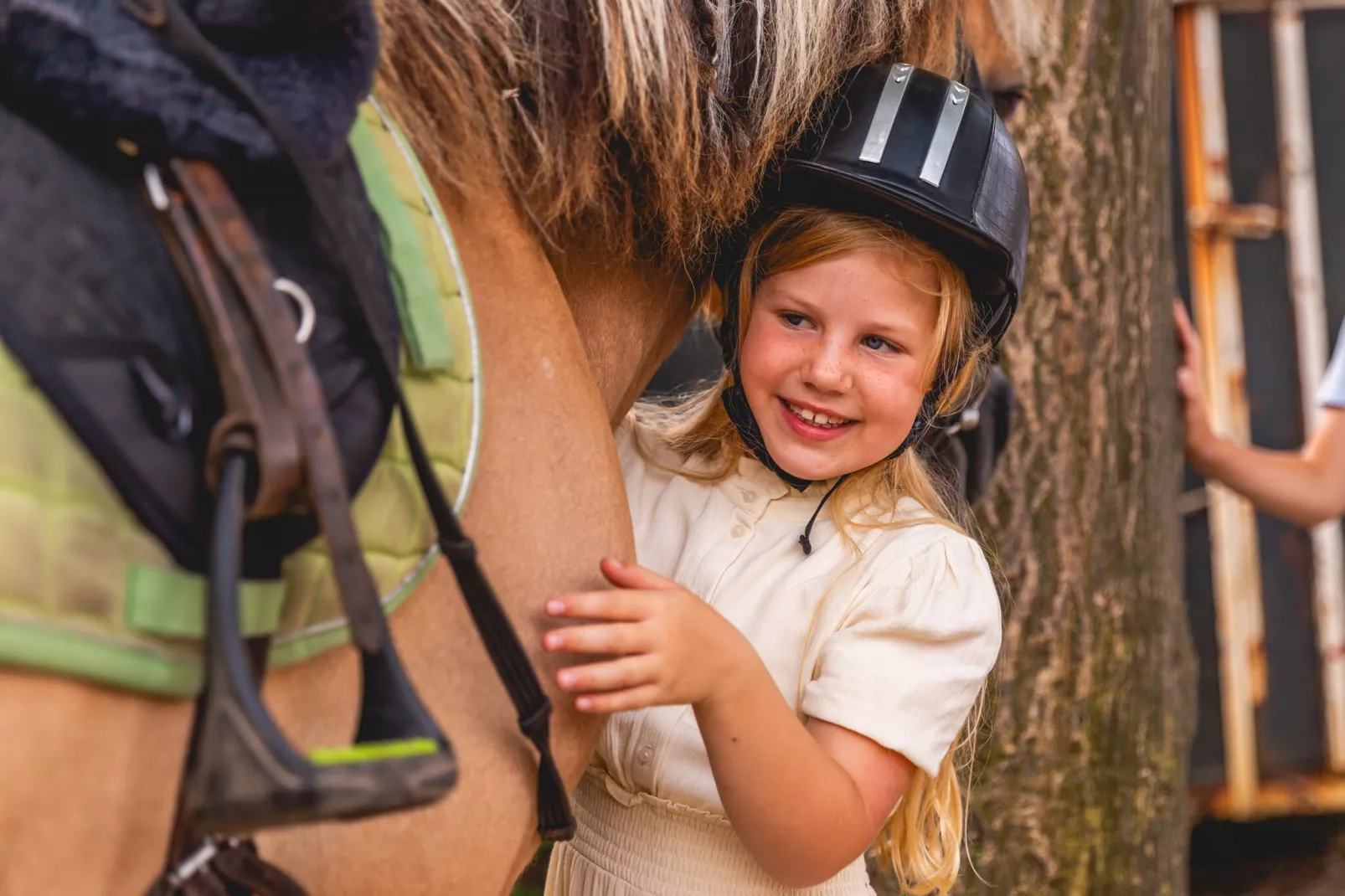 Alkmaar 12-Park facilities