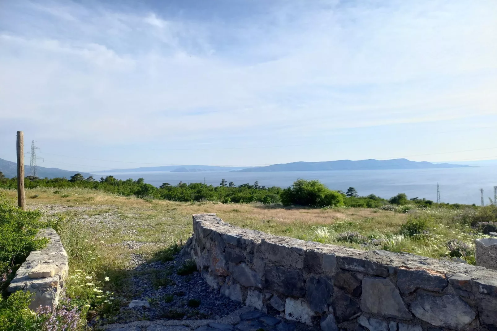 Niko 3-Areas within 5km in summer